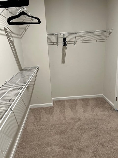 Furnished Finder property 609574_1 photo 13