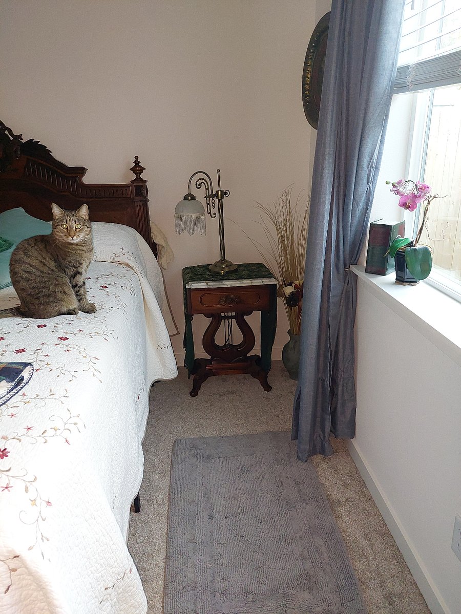 Furnished Finder property 609681_1 photo 3