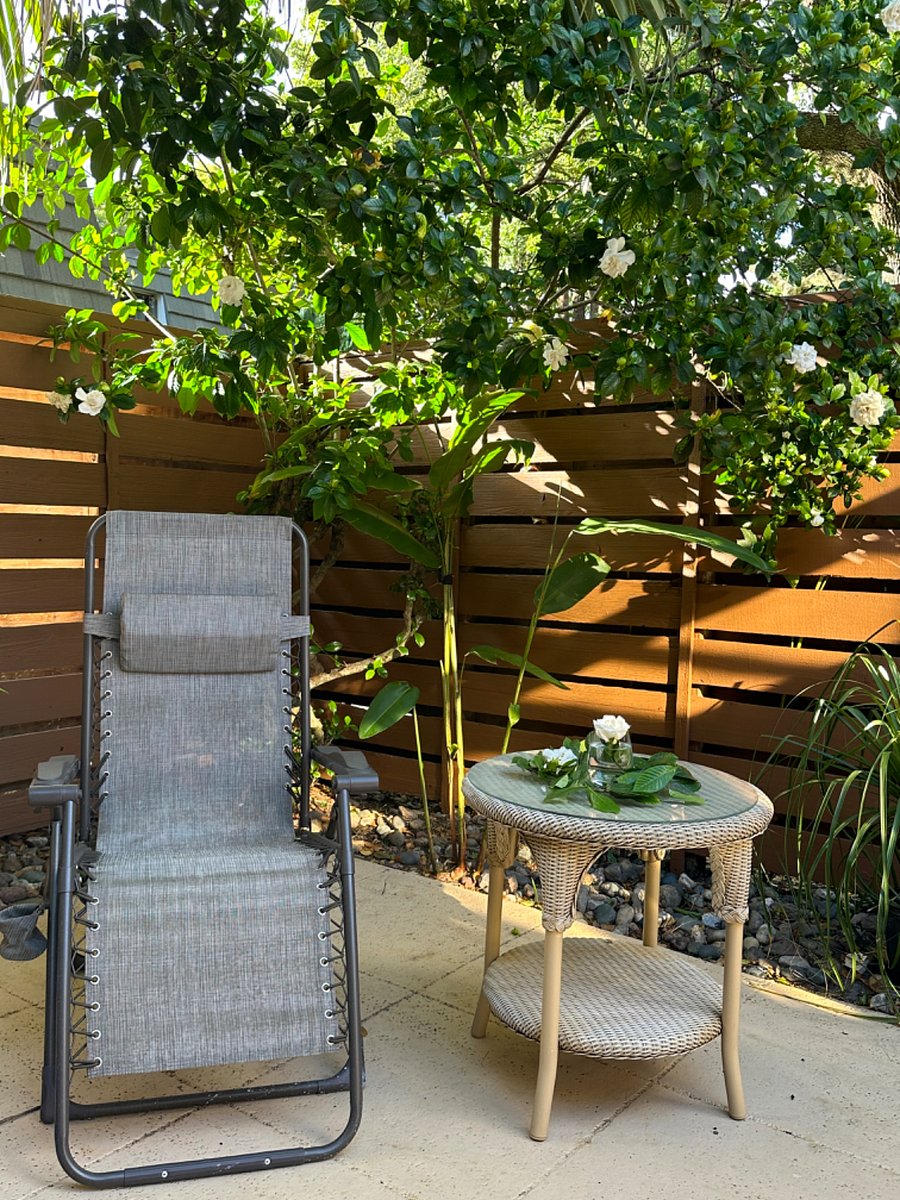 Furnished Finder property 609685_1 photo 17