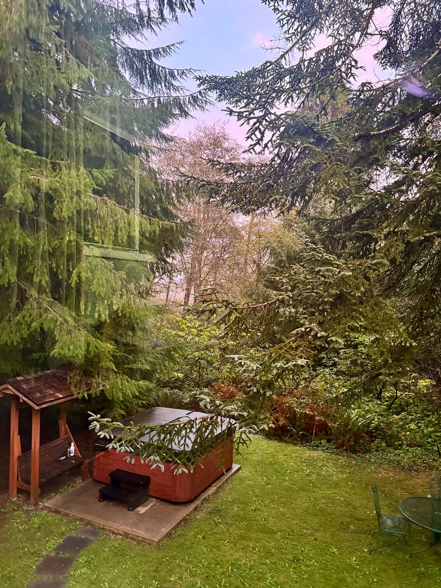 View overlooking back garden from the primary bedroom. Hot tub use included if you would rather soak outside.