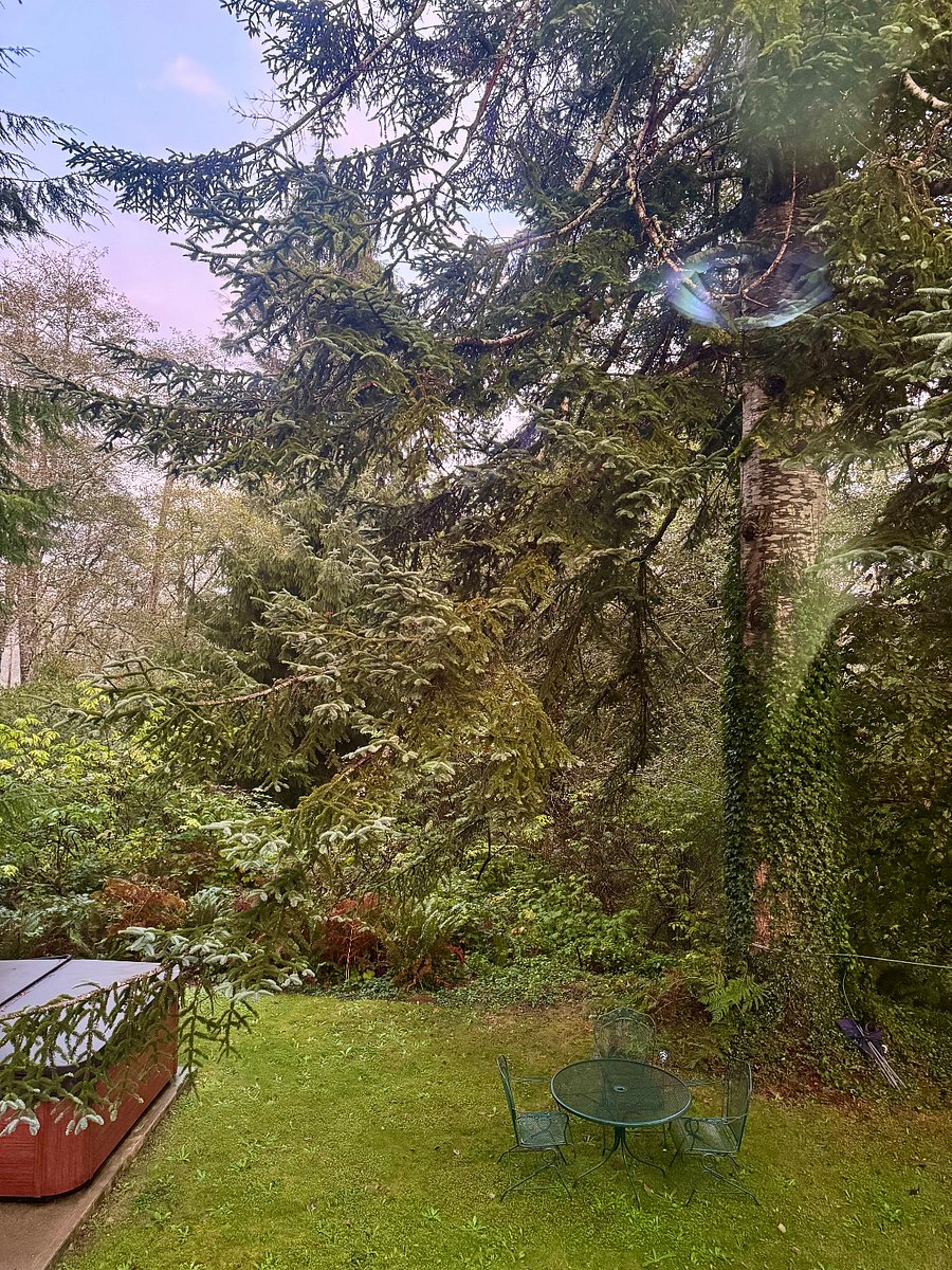 Evergreen Room view from bathroom.