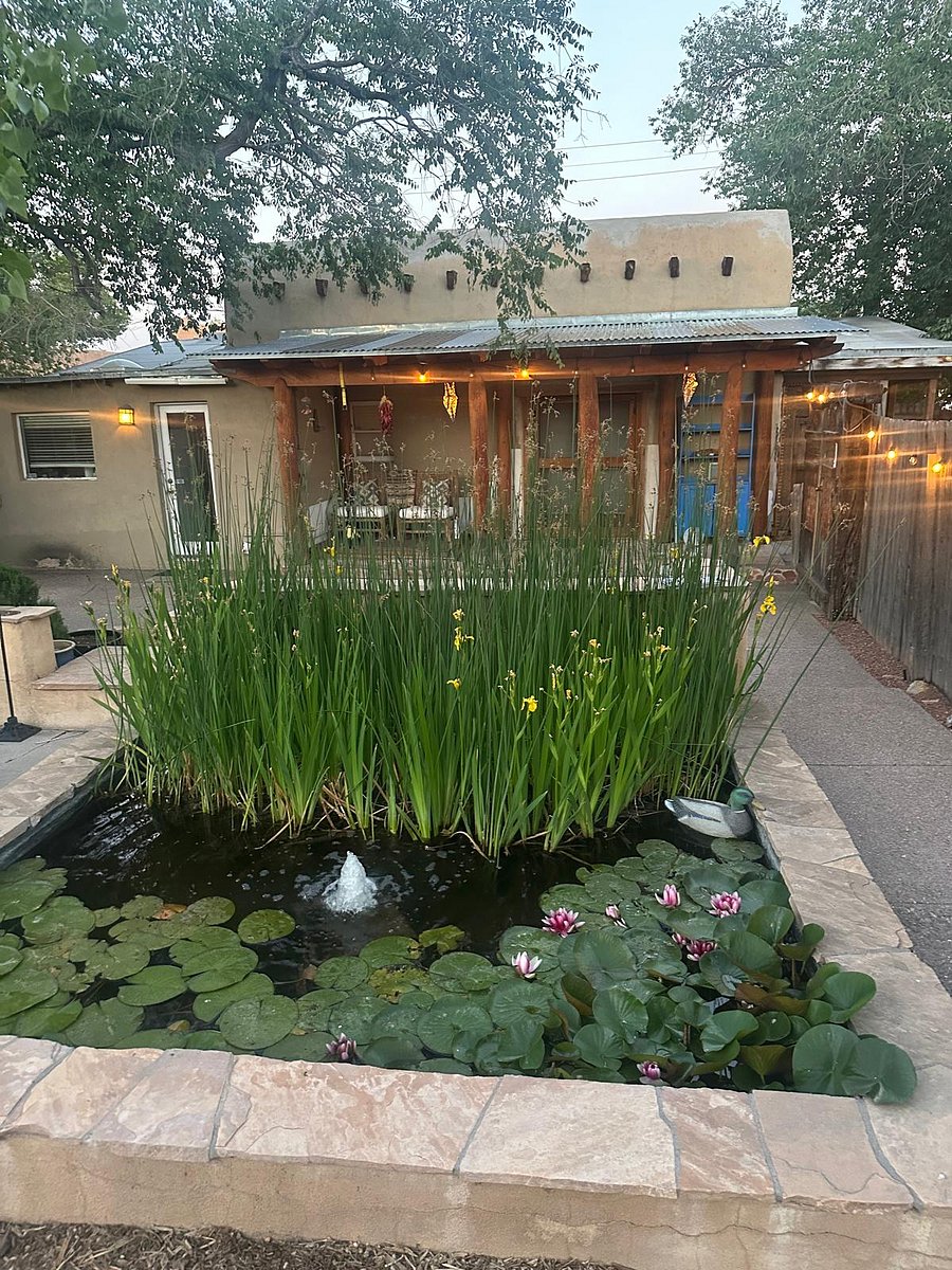 Lovely pond with fountain.