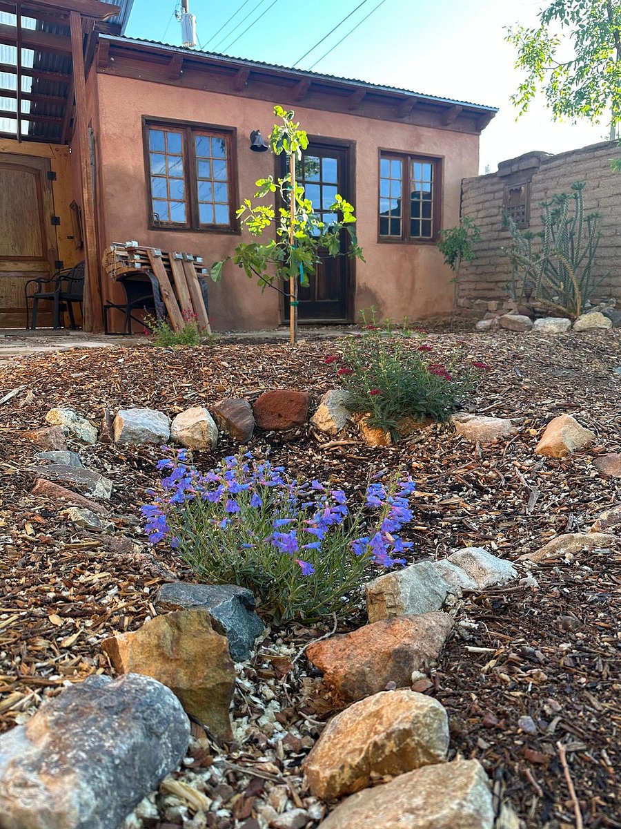 Beautiful gardening in the compound.