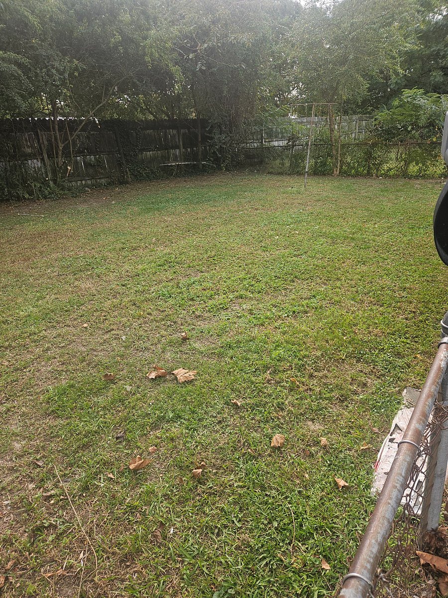 Furnished Finder property 609961_1 photo 22