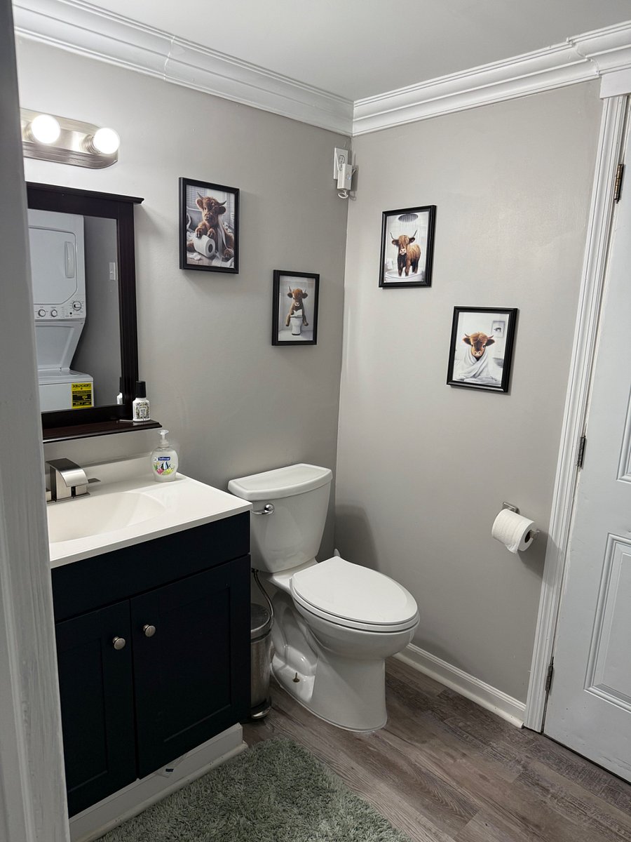 Furnished Finder property 610015_1 photo 24