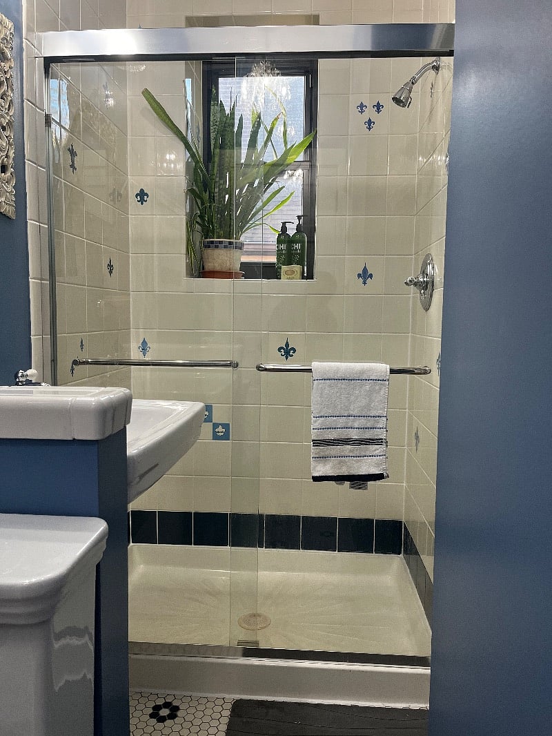 Bathroom interior: Fleur de lis themed