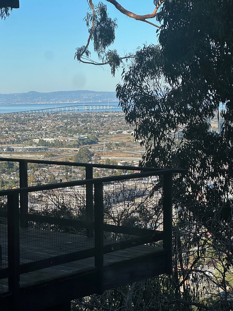 View from left window