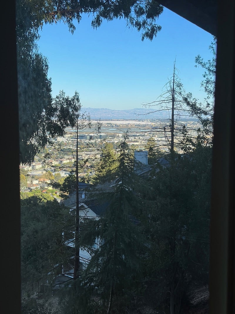 View from desk window