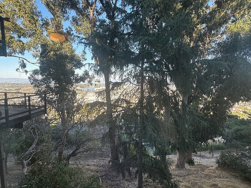 View from center window