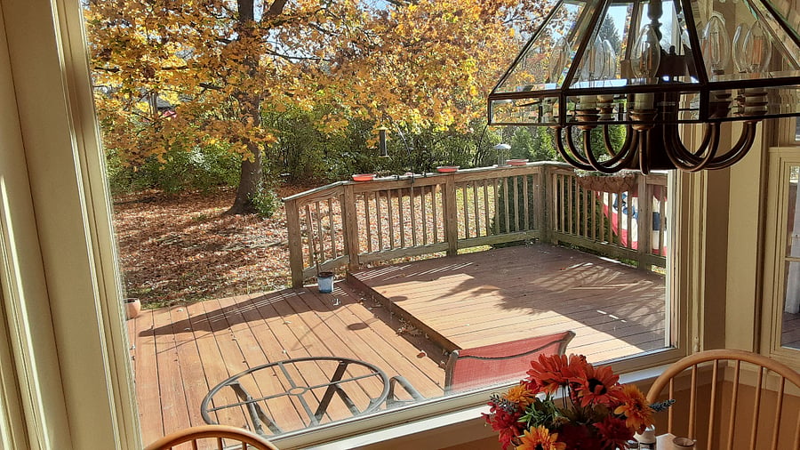 Furnished Finder property 610137_1 photo 7