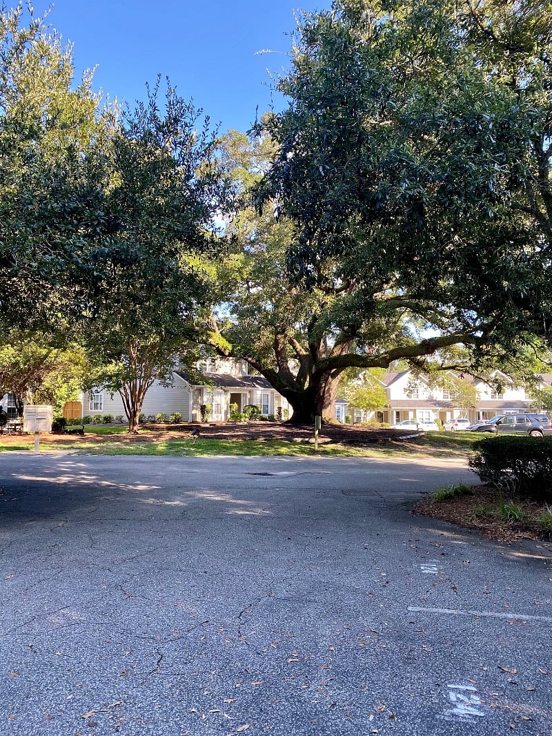 Furnished Finder property 610176_1 photo 13