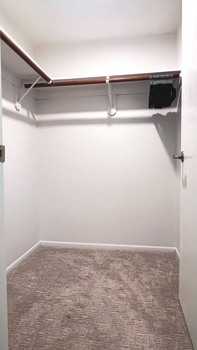 Guest Bedroom Walk-in closet
