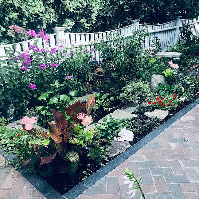 Koi Pond