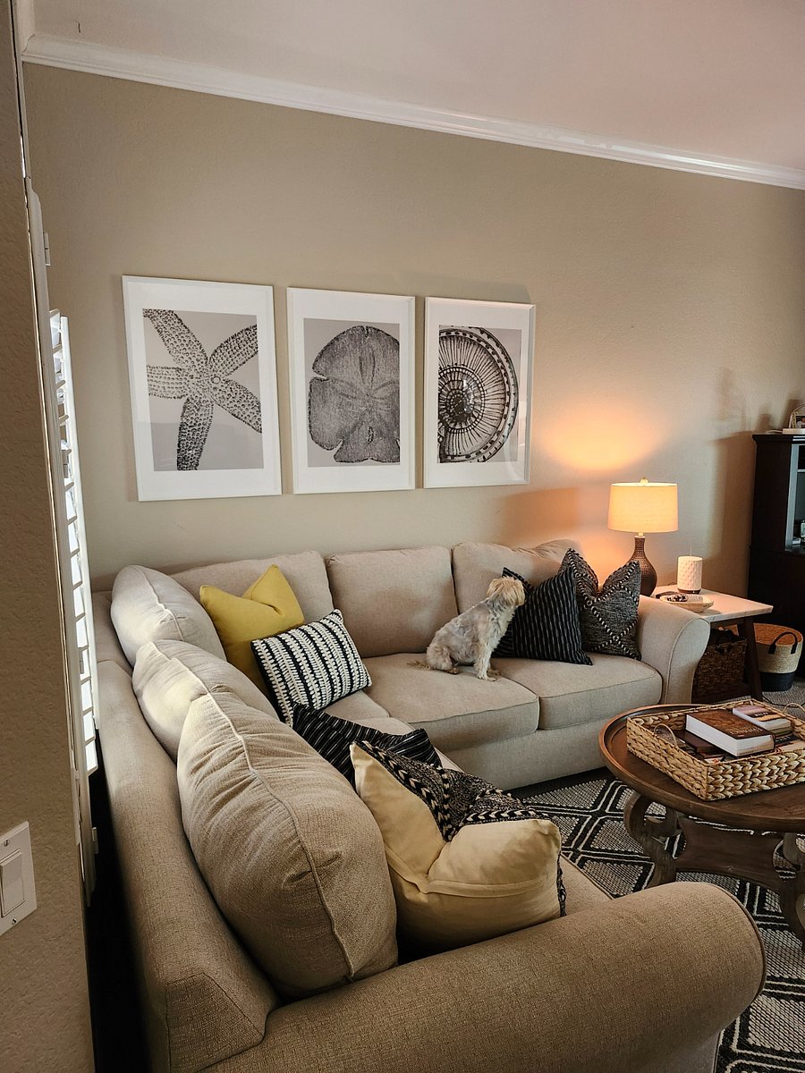 Furnished Finder property 610554_1 photo 6