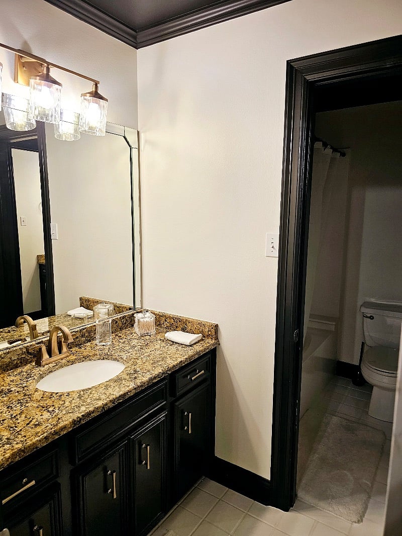 Furnished Finder property 610569_1 photo 16