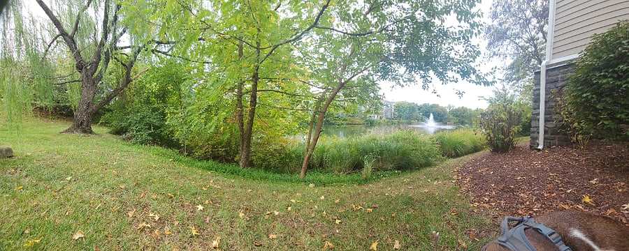 Furnished Finder property 610586_1 photo 21