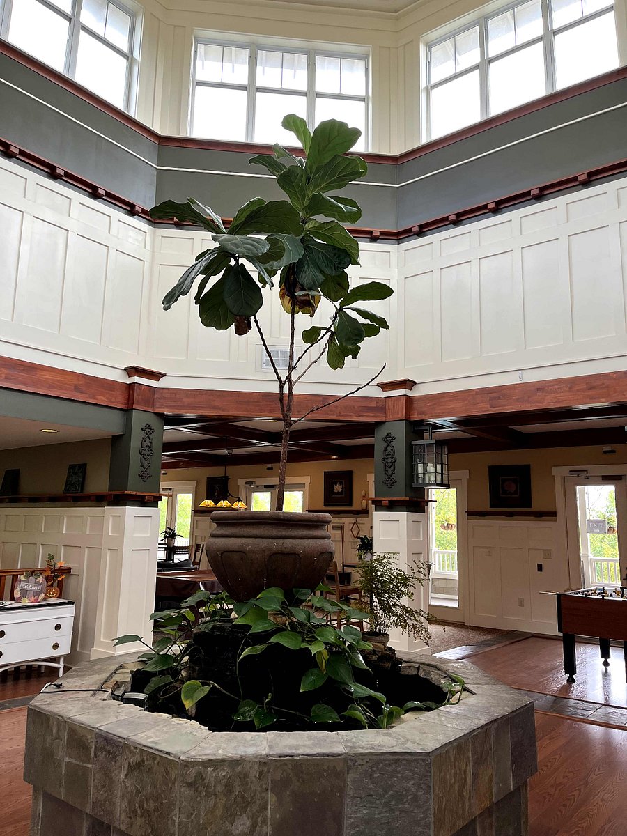Furnished Finder property 610611_1 photo 34