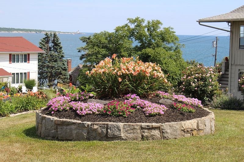 Front yard during the summer season