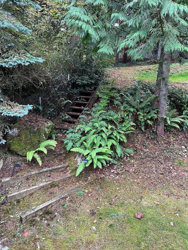 Stairs leading to upper backyard
