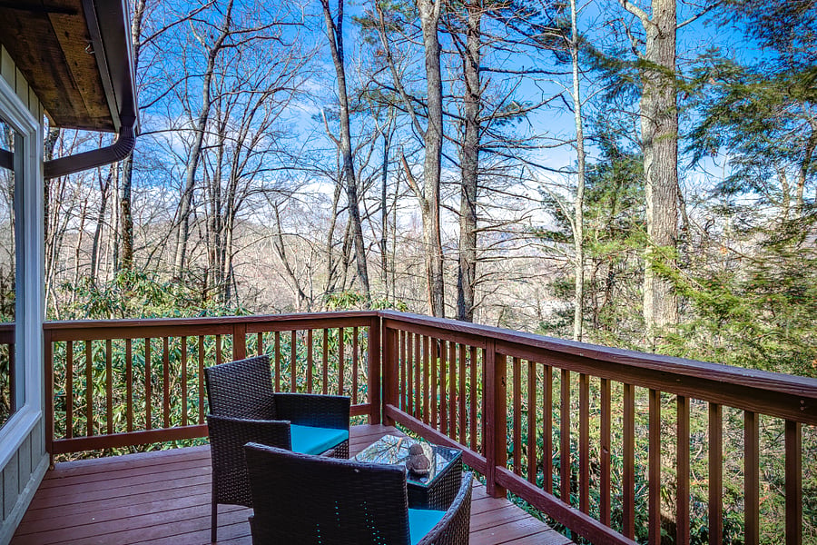 Back Deck outside dining room. Late November. 