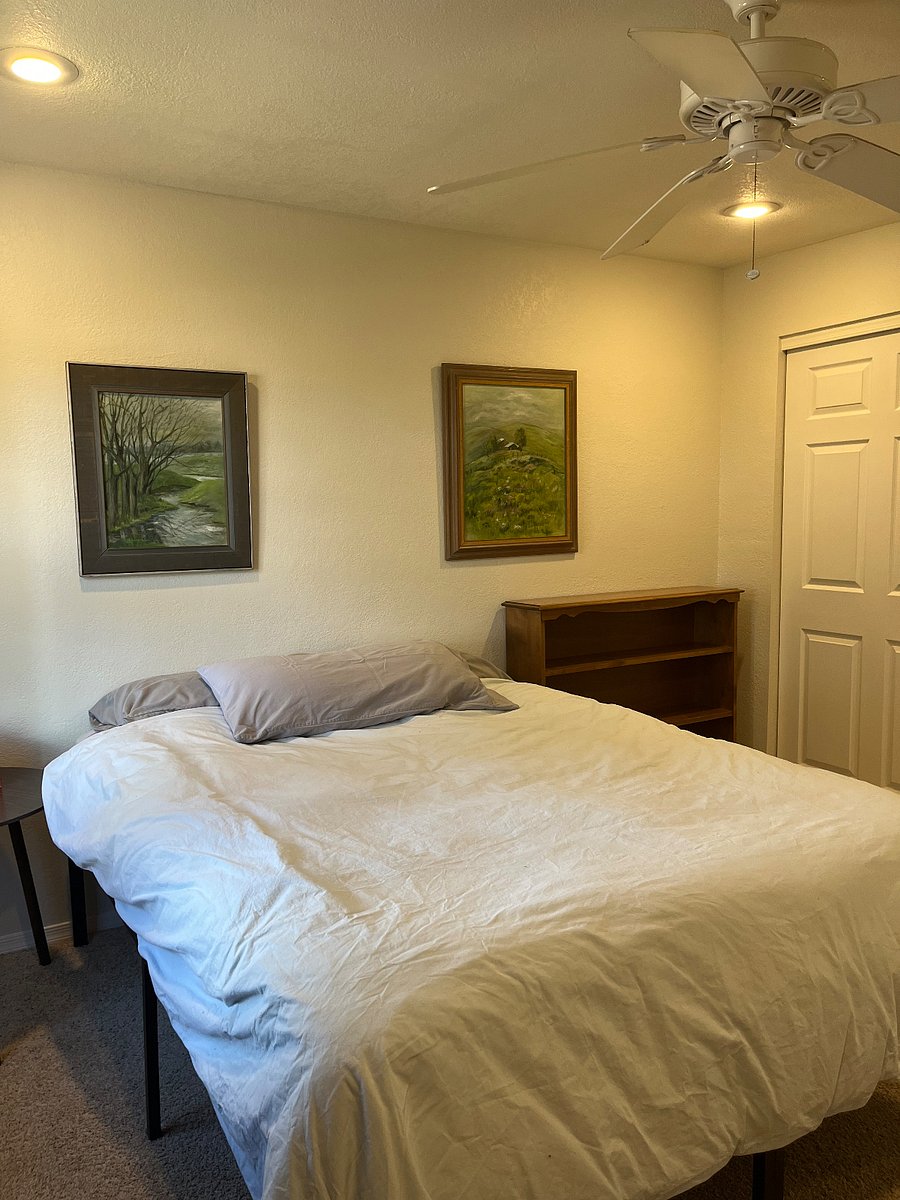 Furnished Finder property 611206_4 photo 13