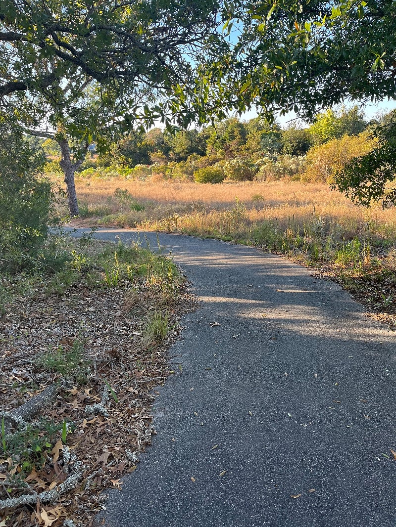 Walking trail behind house