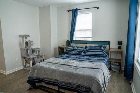Furnished Finder property 611356_2 photo 7