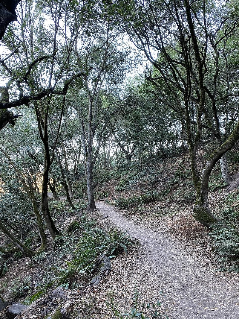 The Garden Apartment is 10-15 minutes away from beautiful hiking trails! This is in Robert's Park.