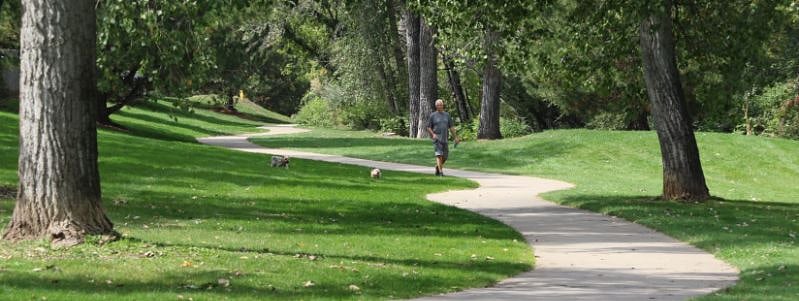 Memorial Park #5