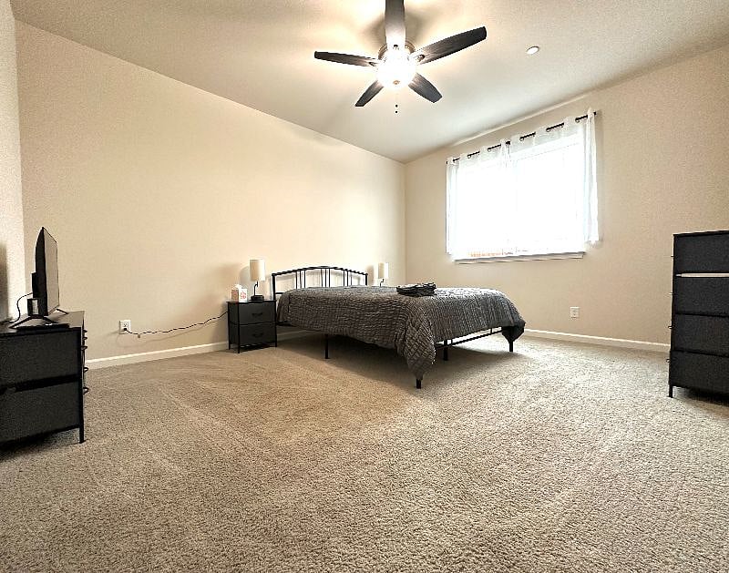 Furnished Finder property 611433_3 photo 19