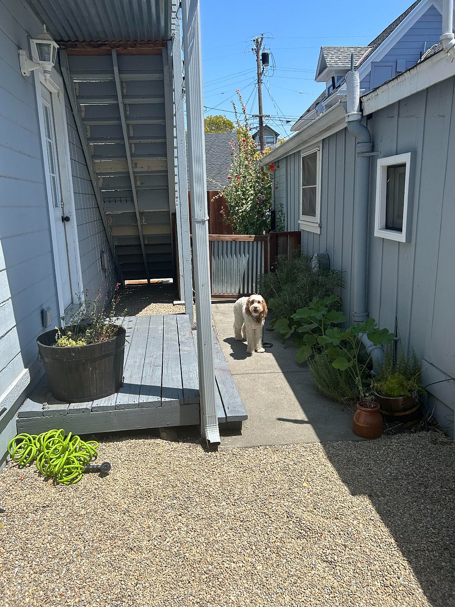 Exclusive garden for this unit! Preparations still being made for occupancy starting 8/15.