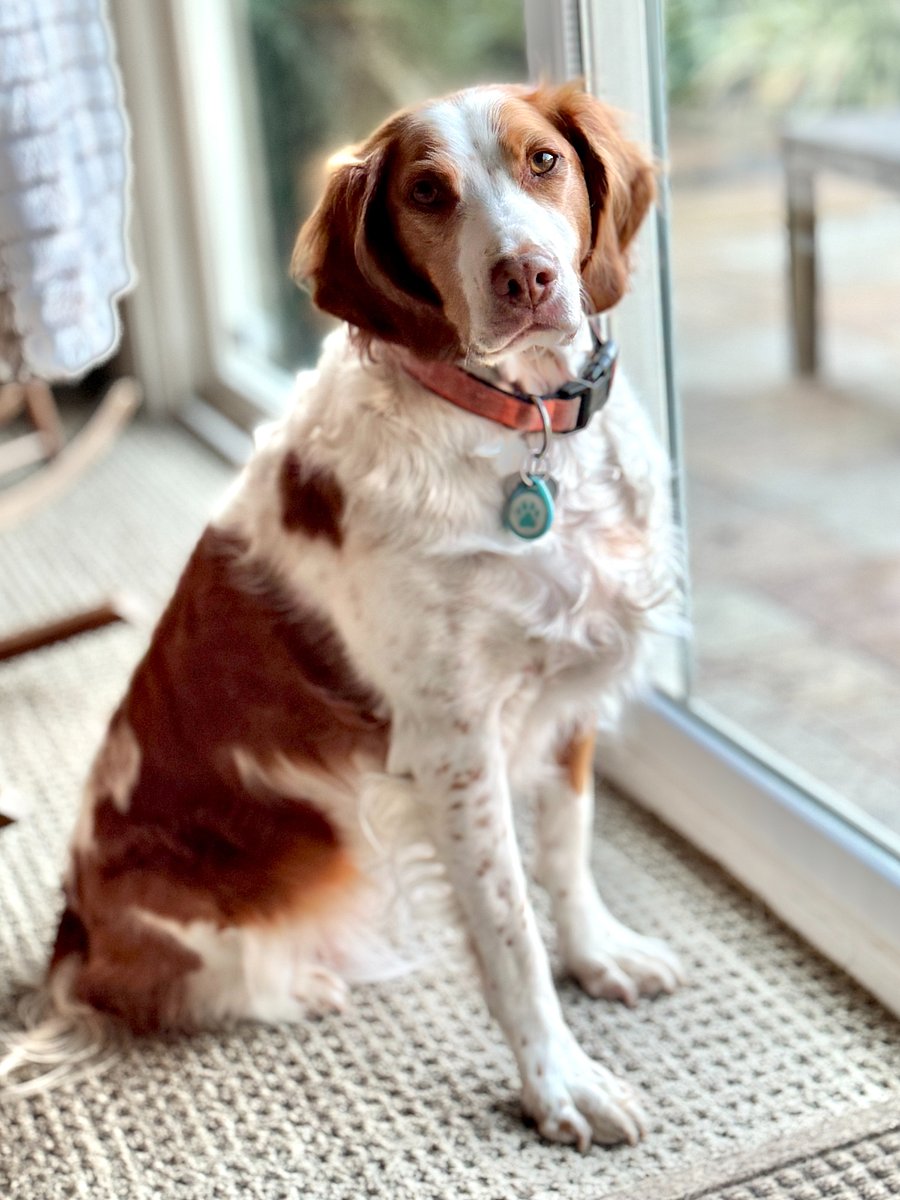 Her name is Peaches. Her friends call her Peachy Pie:)