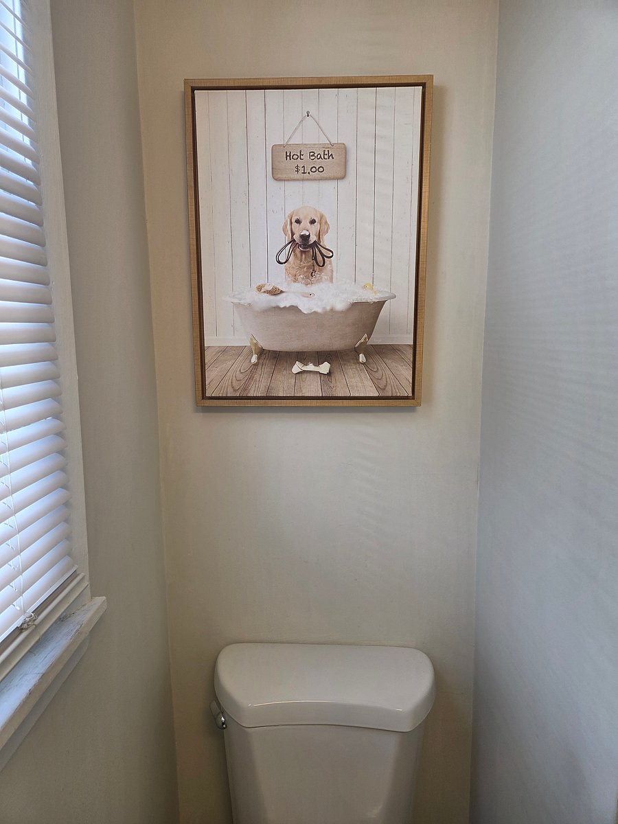 Furnished Finder property 611590_1 photo 27