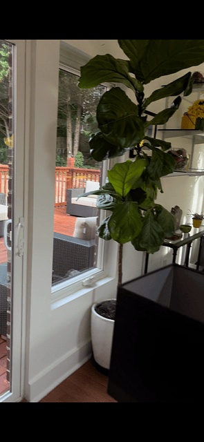 Furnished Finder property 612075_1 photo 22