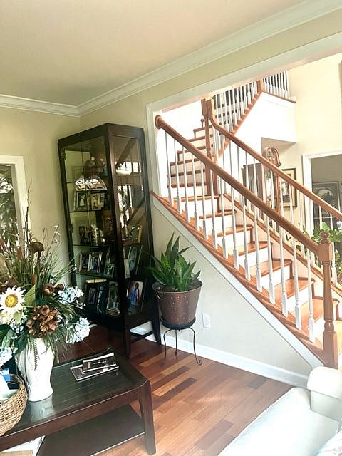 Furnished Finder property 612075_2 photo 8