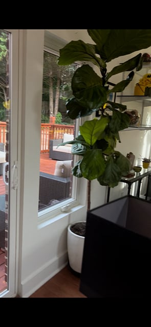 Furnished Finder property 612075_3 photo 8