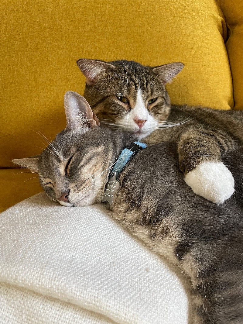 My other housemates, Pawpa and Rufus