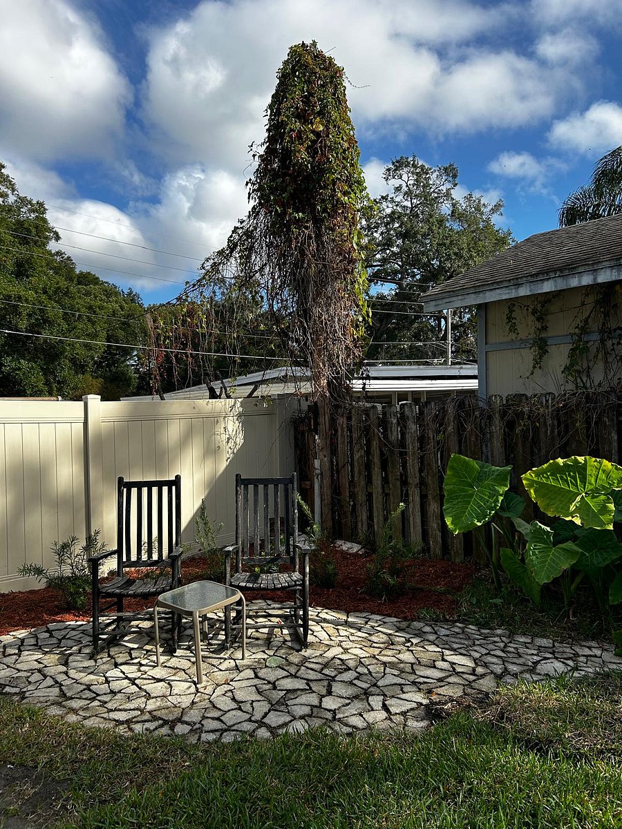 Furnished Finder property 612301_2 photo 18
