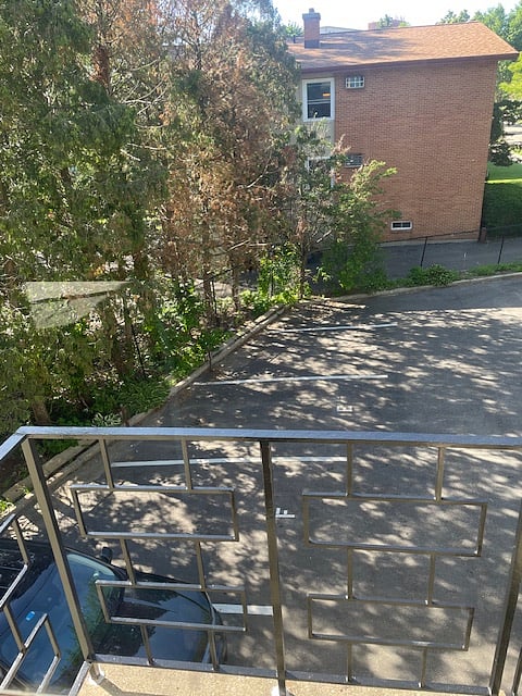 Furnished Finder property 612394_3 photo 25