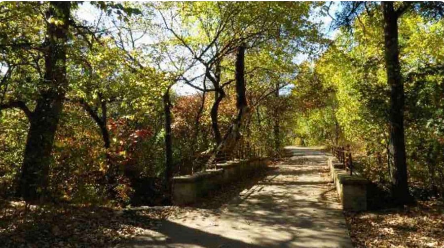 Arbor Hills trails