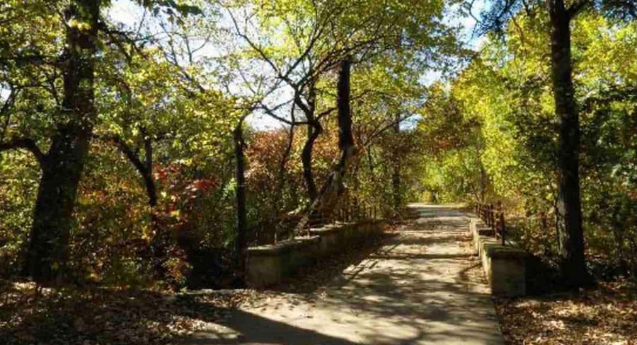 For the runner, Arbor Hills Nature Reserve just 10 mins drive