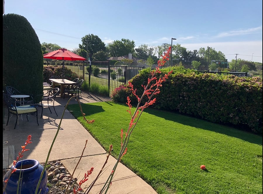 Back yard with a green belt behind