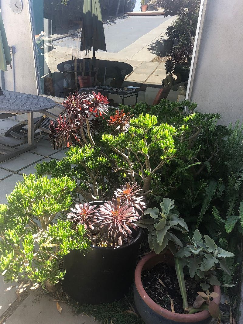 Several garden areas are yours to enjoy.