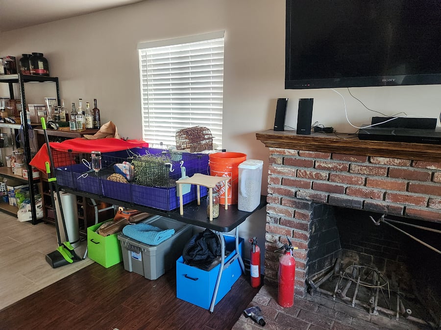 Guinea pig cage next to living room TV