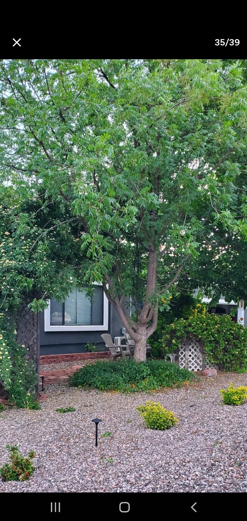 Furnished Finder property 612664_1 photo 12