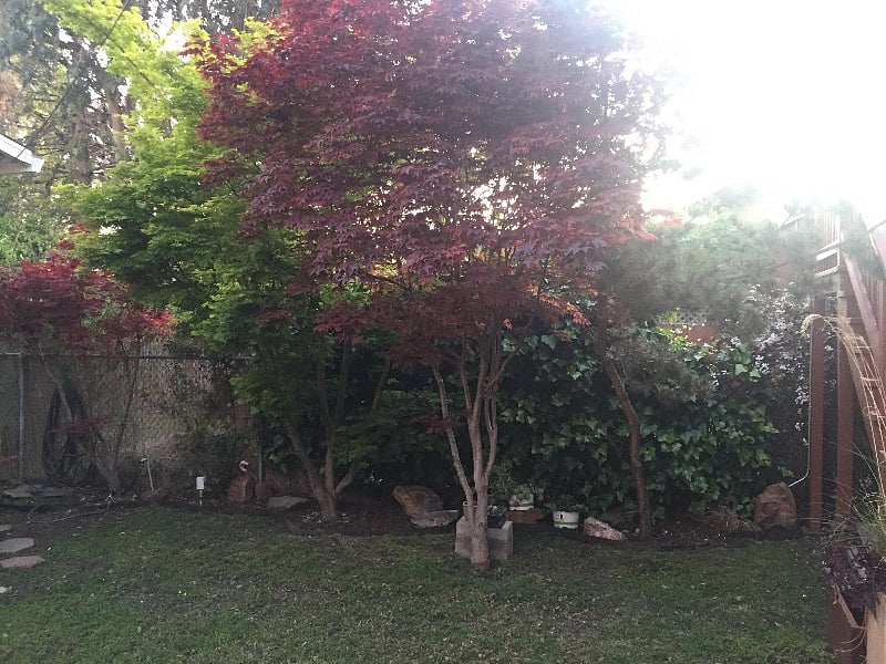 Furnished Finder property 612674_1 photo 25