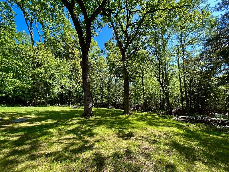 Side yard