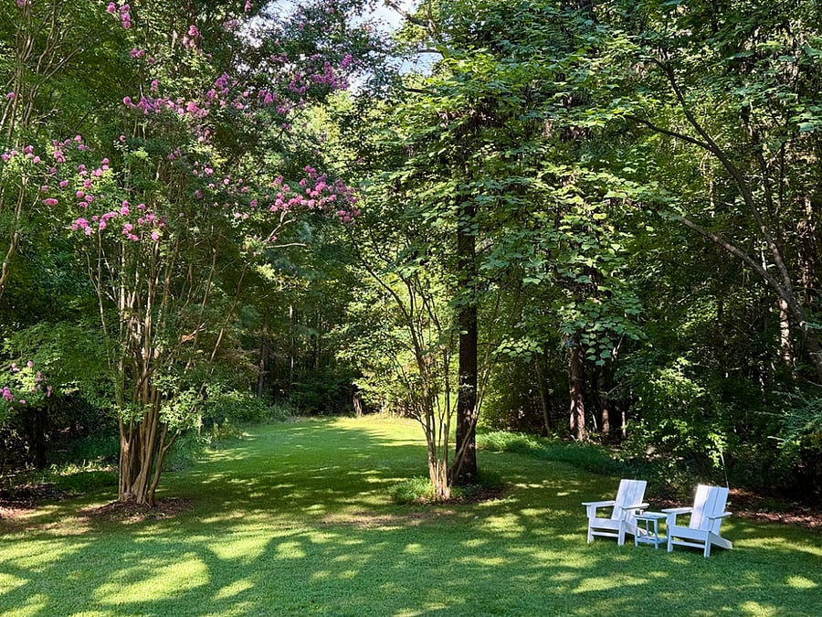 front yard