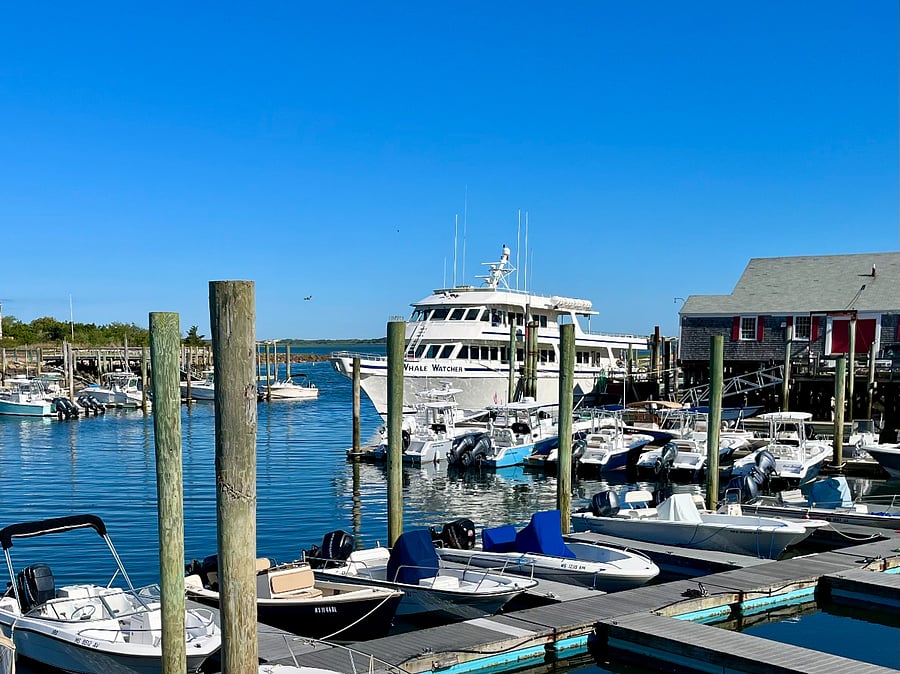 Less than a 5-minute walk to Millway Marina for Deep Sea Fishing & Whale Watching tours, and 2 popular local eateries.