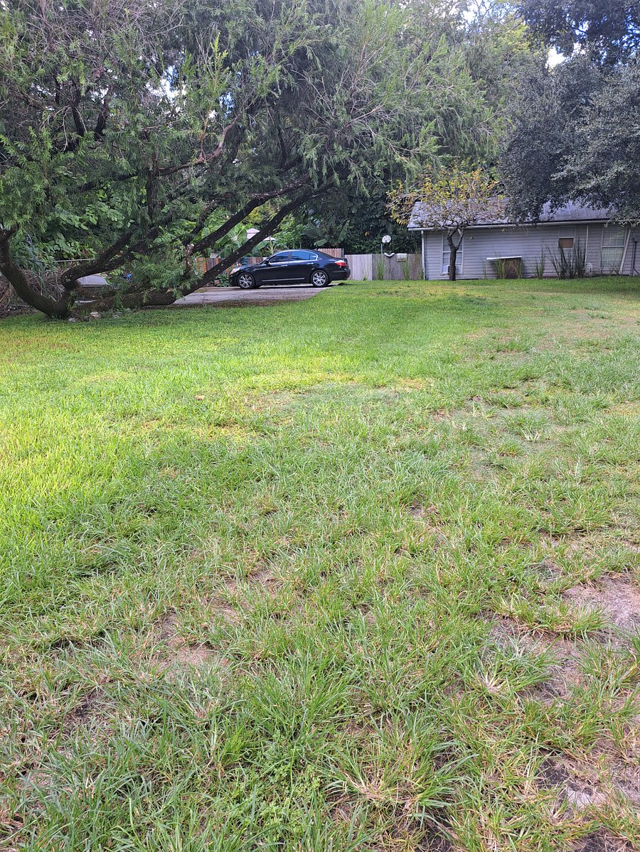 Furnished Finder property 614029_1 photo 17
